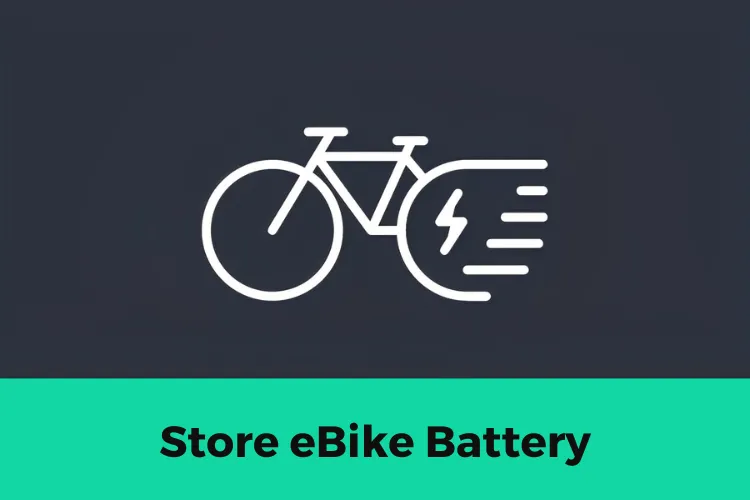 Store eBike battery for Long Term in Winter